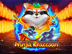 Ninja Raccoon thumbnail